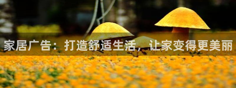 UG环球代理合作