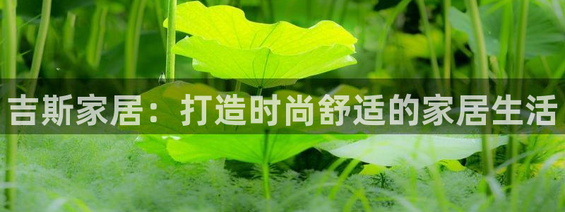 ug环球会员充值
