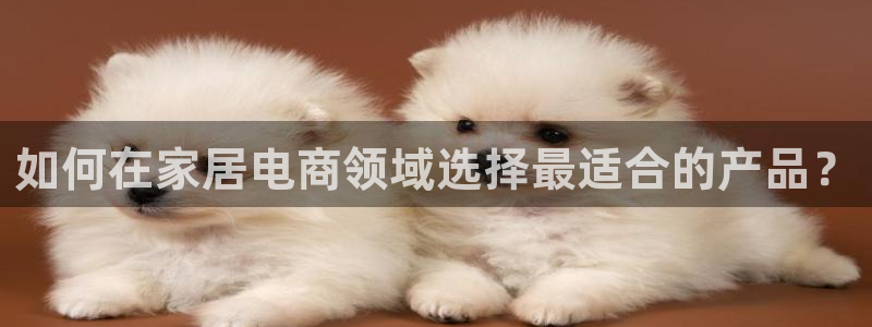 UG环球代理合作