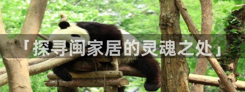ug环球视讯下载