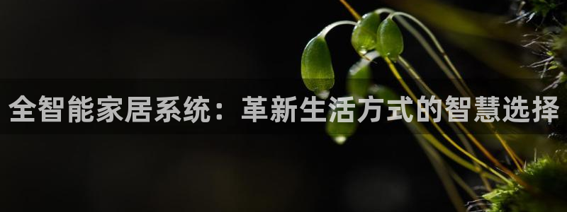 ug环球国际