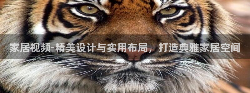 ug环球官网环球360