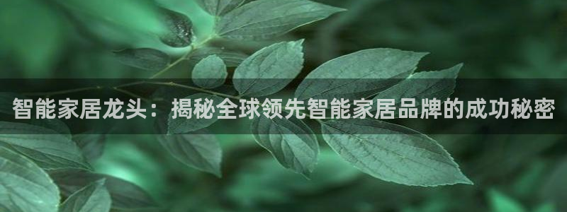 ug环球视讯官网