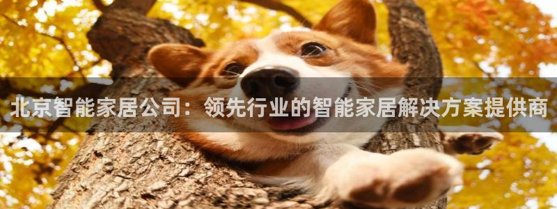 ug环球视讯下载