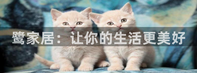 UG环球官方网