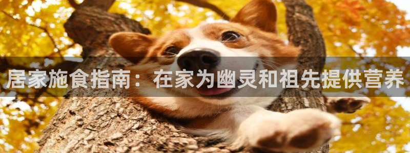 ug环球360代理