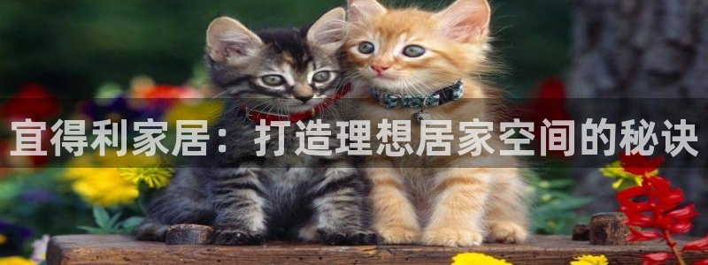 ug环球会员官网