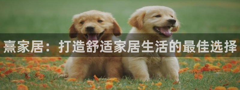 ug环球国际