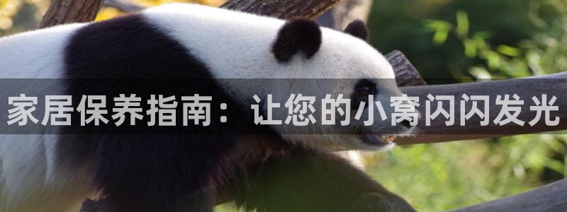 ug环球会员注册