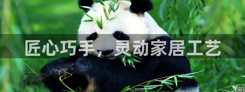 ug环球官网会员