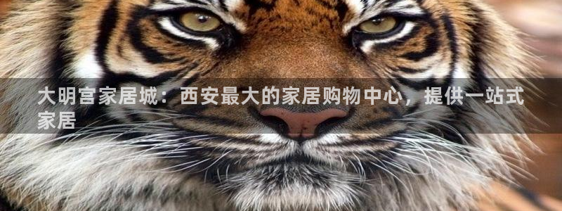 ug环球会员
