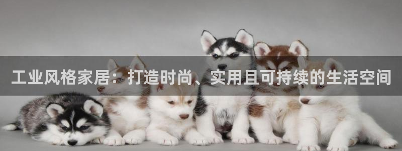 ug环球官网会员