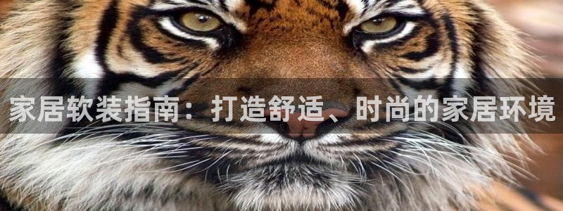 ug环球国际360