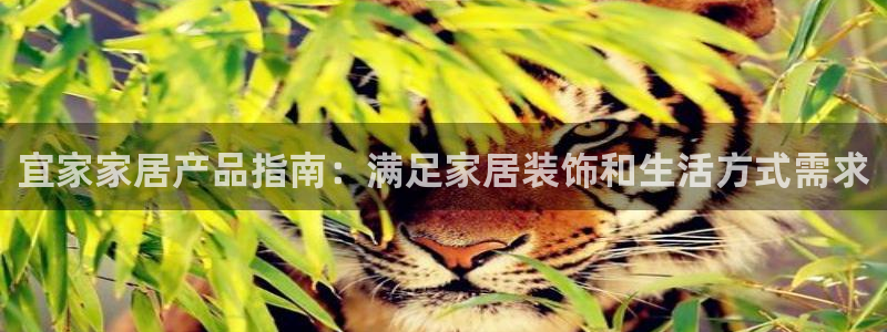 ug环球凯发