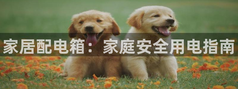 UG环球假线一比一