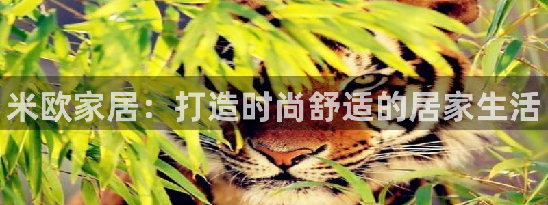 环球ug包杀网