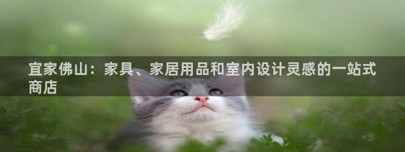 uG环球网站
