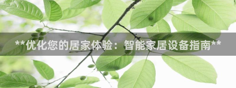 ug环球国际买分