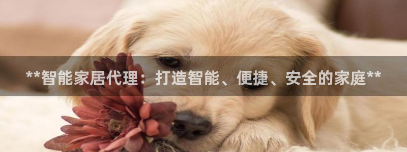 UG环球假网一比一包杀网