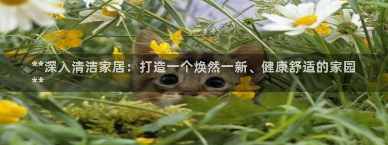 ug环球游戏网站