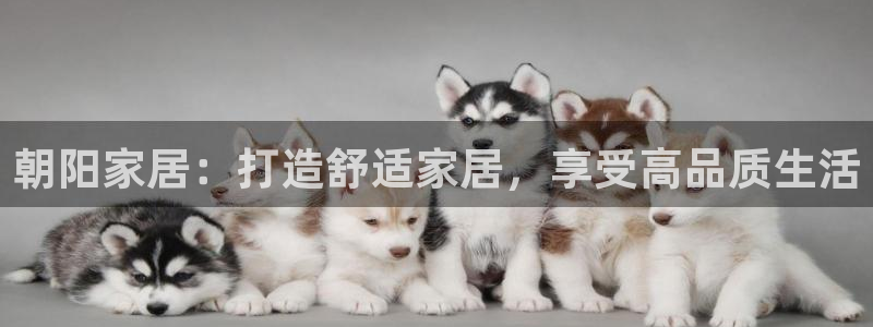 UG环球视讯官网