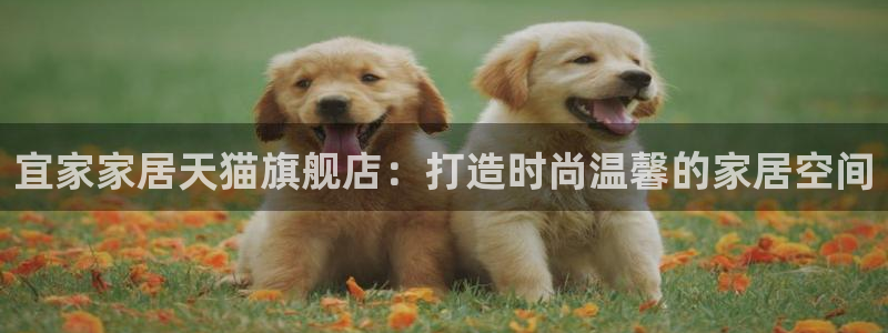 UG环球假网一比一包杀网