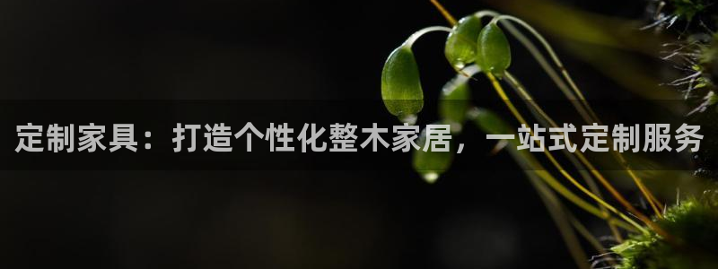 UG环球国际在线