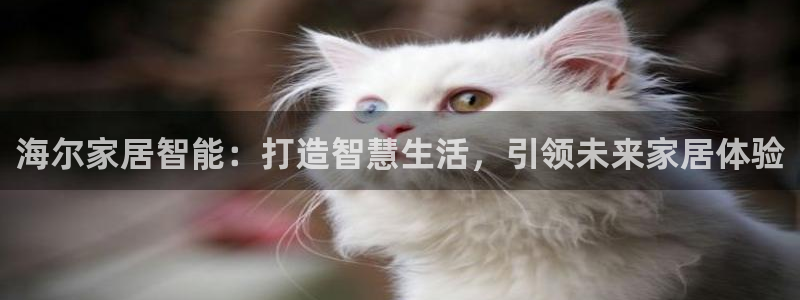 ug环球国际官网