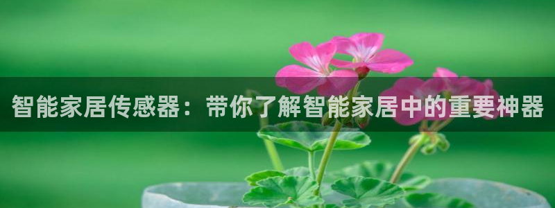 UG环球视讯官网