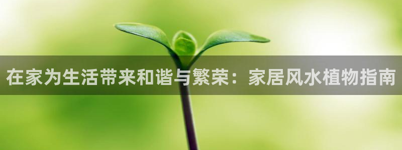 ug环球视讯手机版官网