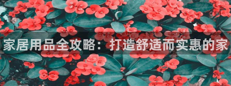 ug环球视讯充值