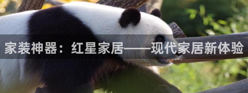 ug环球买分卖分