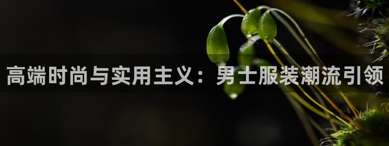 bbin视讯游戏平台：高端时尚与实用主义：男士服装潮流引领
