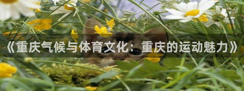bbin视讯游戏官网：《重庆气候与体育文化：重庆的运动魅力》