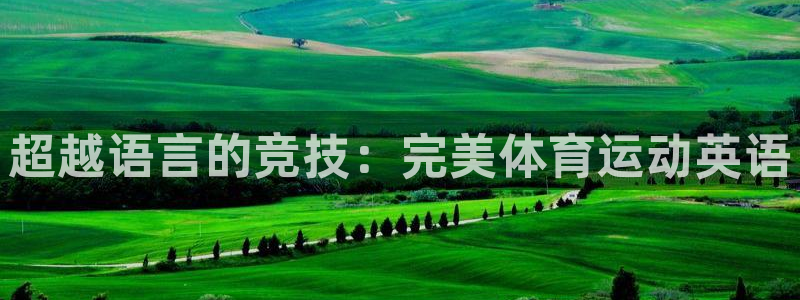 bbin视讯游戏平台：超越语言的竞技：完美体育运动英语