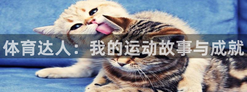 bbin视讯游戏官网：体育达人：我的运动故事与成就