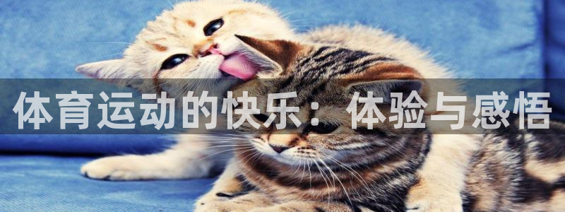 bbin视讯下：体育运动的快乐：体验与感悟