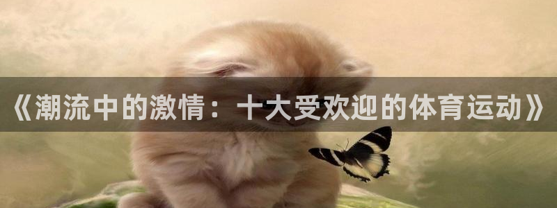 bbin视讯下：《潮流中的激情：十大受欢迎的体育运动》