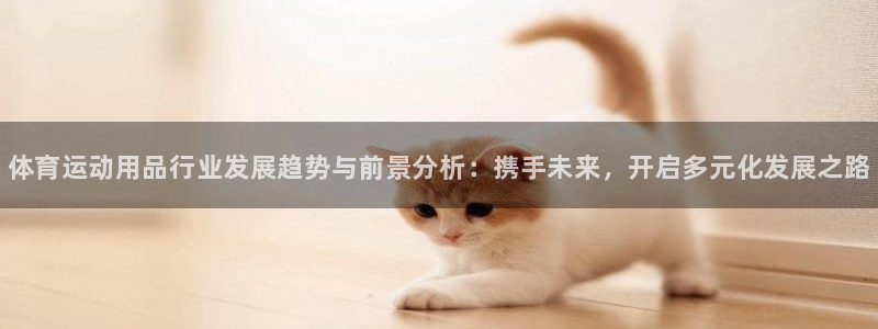 bbin视讯游戏平台：体育运动用品行业发展趋势与前景分析：携手未来，开启多元化发展之路