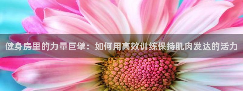 bbin视讯：健身房里的力量巨擘：如何用高效训练保持肌肉发达的活力