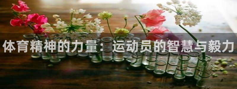 bbin视讯游戏平台：体育精神的力量：运动员的智慧与毅力