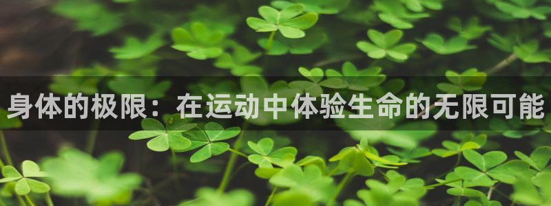 bbin视讯游戏平台：身体的极限：在运动中体验生命的无限可能