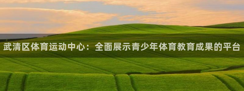 bbin视讯下：武清区体育运动中心：全面展示青少年体育教育成果的平台