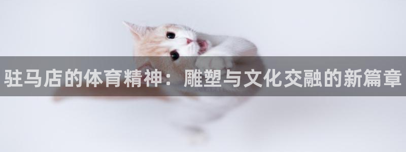 bbin视讯下：驻马店的体育精神：雕塑与文化交融的新篇章