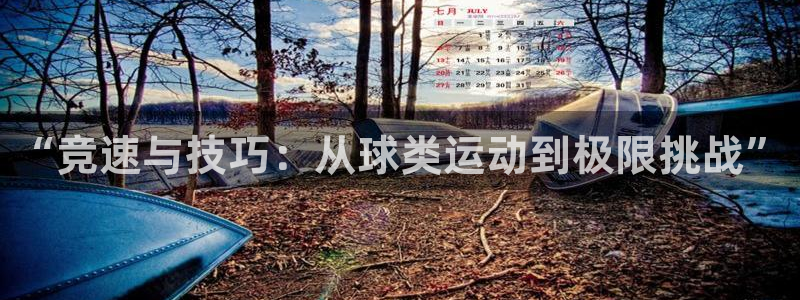 bbin视讯：“竞速与技巧：从球类运动到极限挑战”