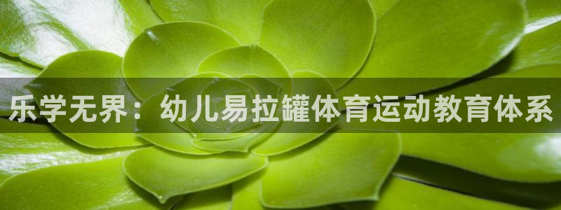 bbin视讯游戏平台：乐学无界：幼儿易拉罐体育运动教育体系