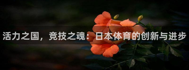 bbin视讯下：活力之国，竞技之魂：日本体育的创新与进步