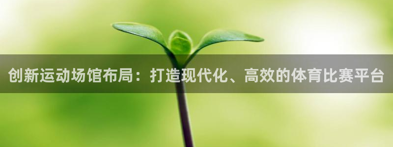 bbin视讯游戏官网：创新运动场馆布局：打造现代化、高效的体育比赛平台