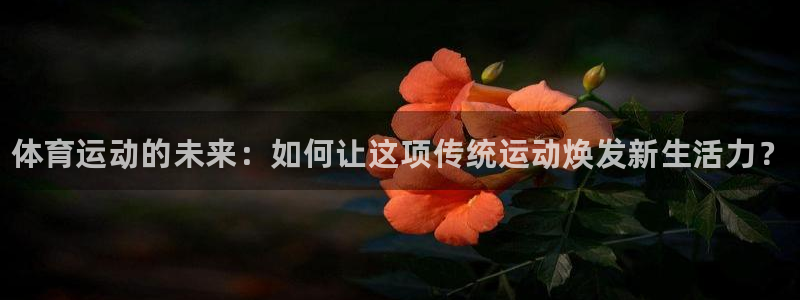 bbin视讯游戏平台：体育运动的未来：如何让这项传统运动焕发新生活力？