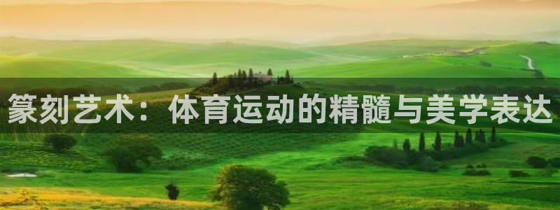 bbin视讯：篆刻艺术：体育运动的精髓与美学表达